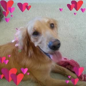 Meet your Posher, Teresa